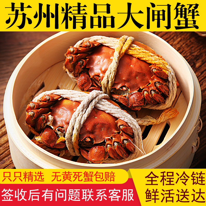 【活蟹】江苏大闸蟹 公蟹5.8-5.5两母蟹4.8-4.5两6只加2只共8只