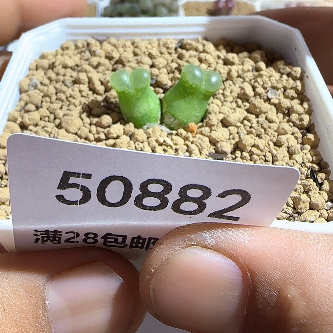 d***o哈哈哈哈哈哈哈50882