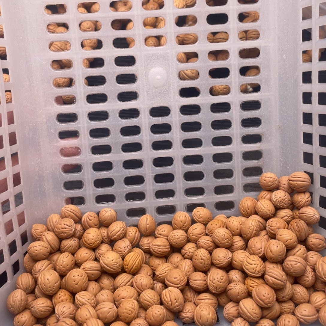 散发180元优惠活动