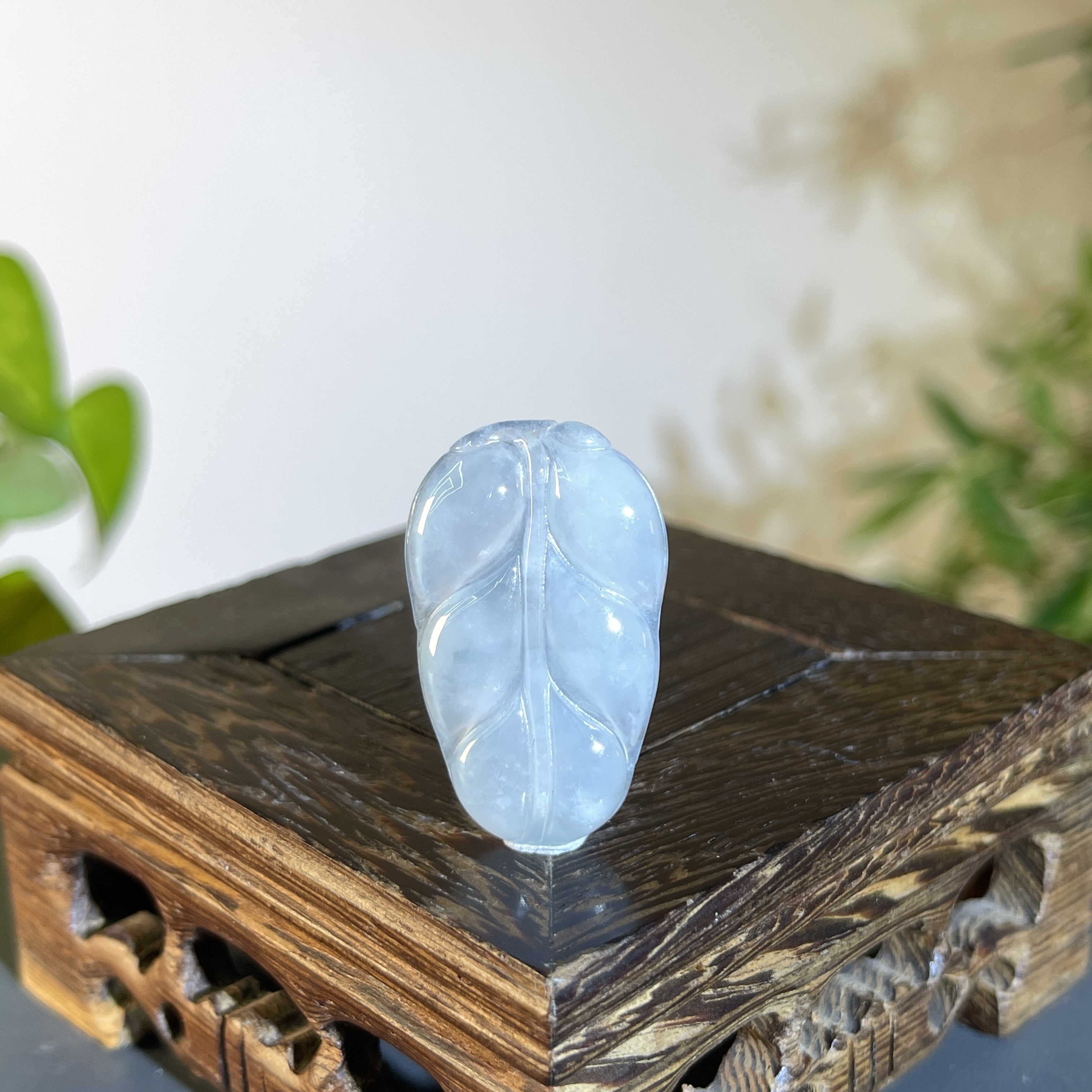 JCW26-015 天然缅甸A货翡翠  金枝玉叶