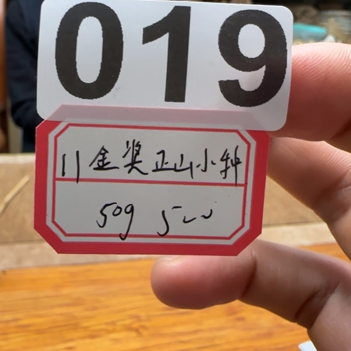 紫砂茶壶019……………………