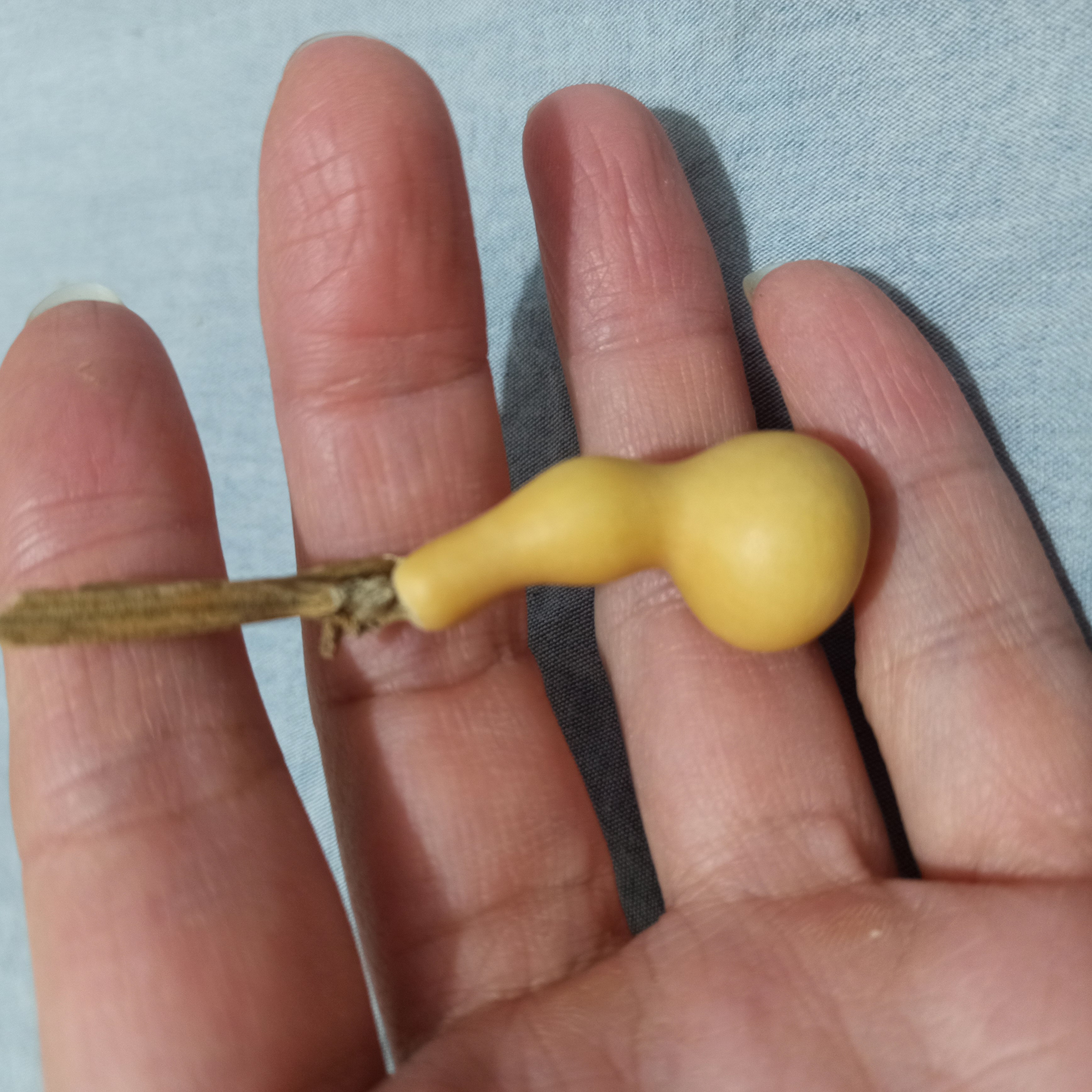 草里金小异形全品无瑕疵