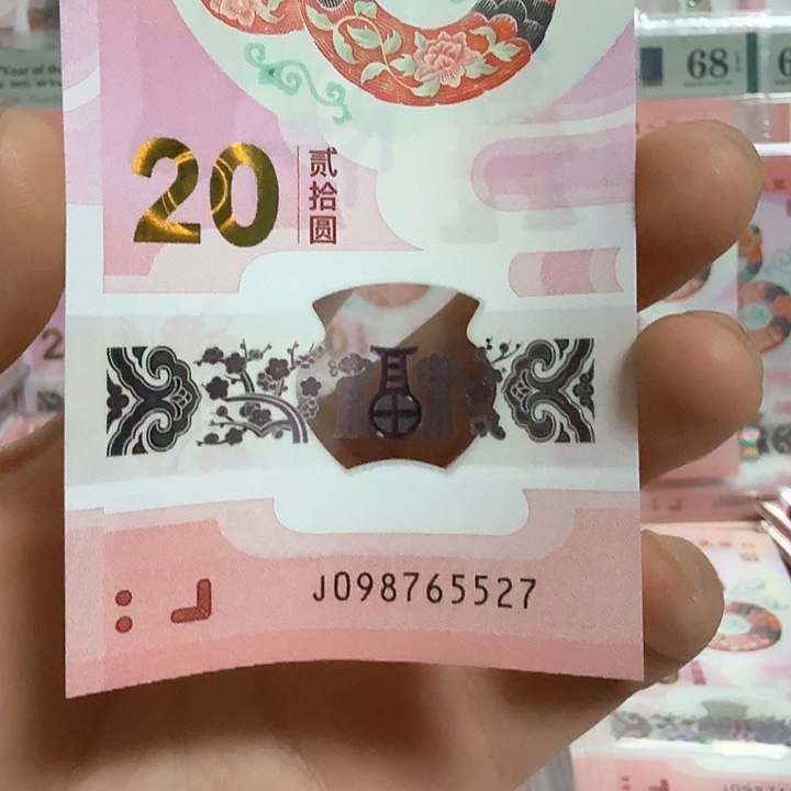 塑料小蛇钞号码098765527