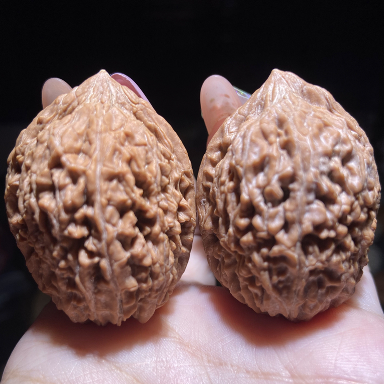文玩核桃精品大蒜头34边磨盘36肚44高