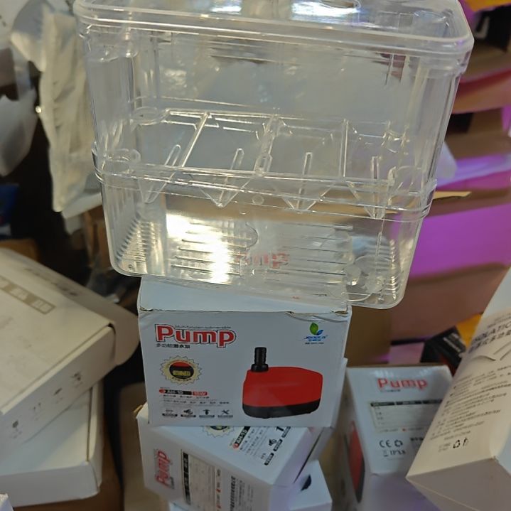 海星黑蜗牛隔离盒超大号