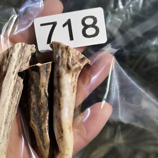 凌***点鹿角鹿角鹿角鹿角鹿角鹿角