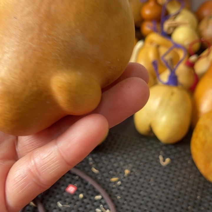 ****࿐葫芦哈哈哈哈哈哈哈哈