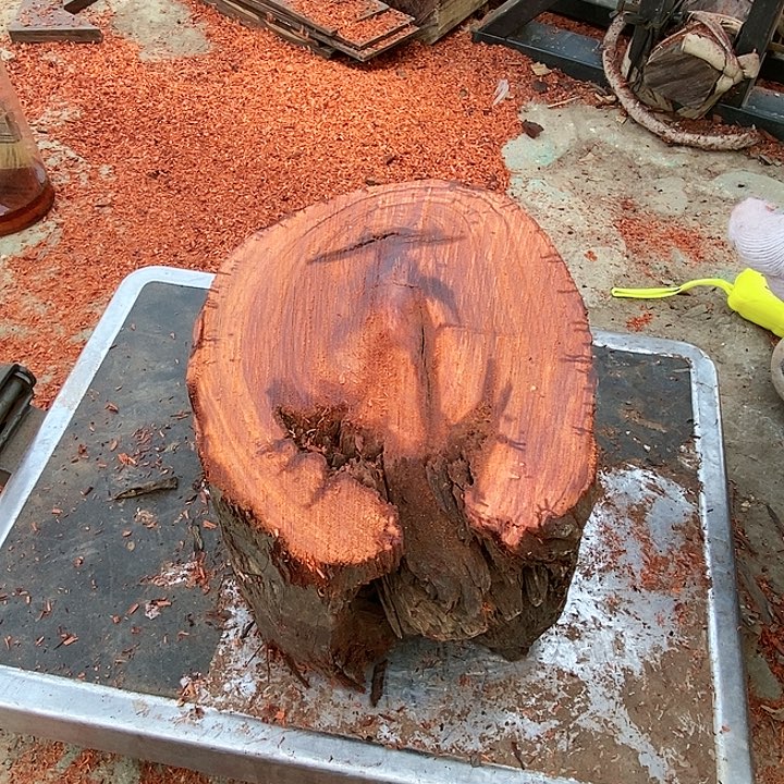 染料紫檀（血檀）兰*260