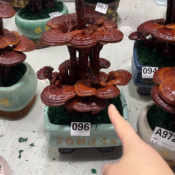 阿***房全部花朵888888888888888888