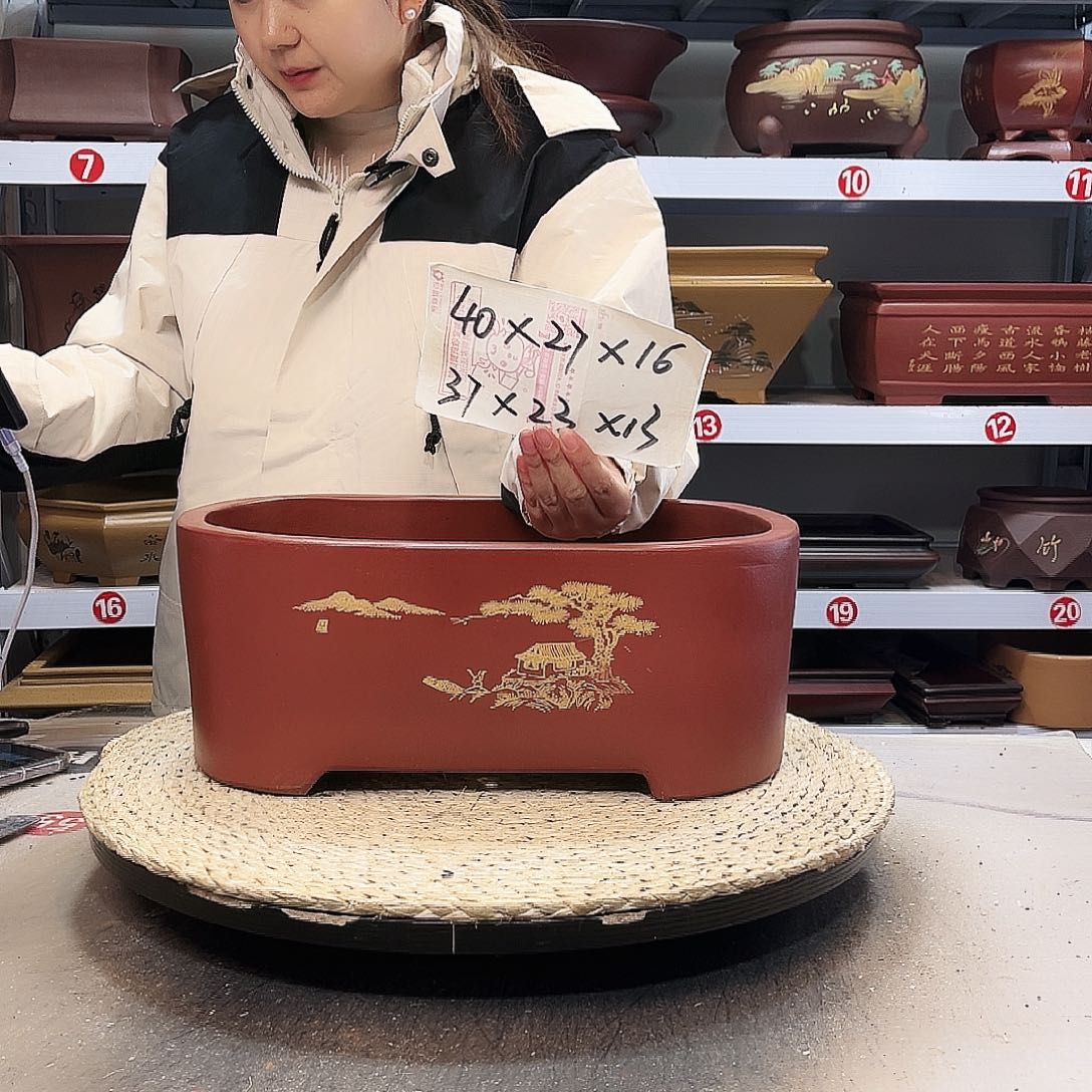 花盆紫砂紫砂花盆里