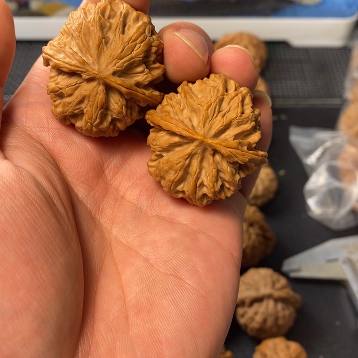 桃核把件467864456