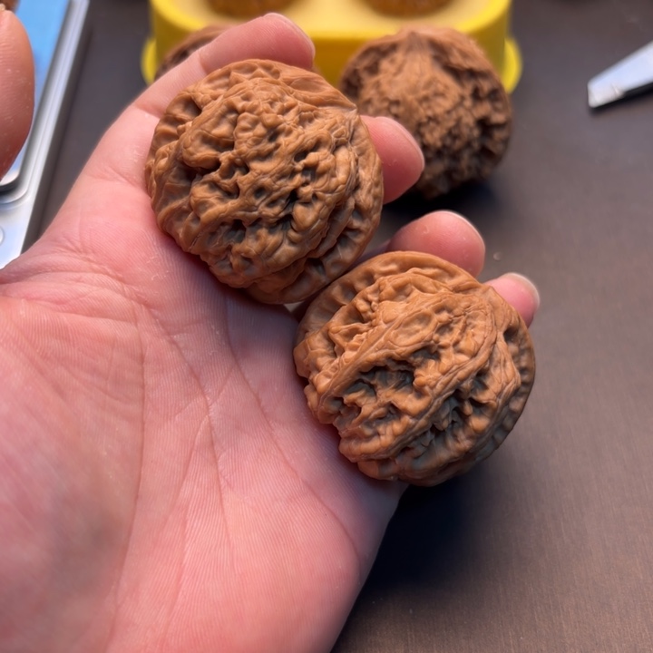 晨***晨大叶紫檀（黑酸枝木类）粗筋