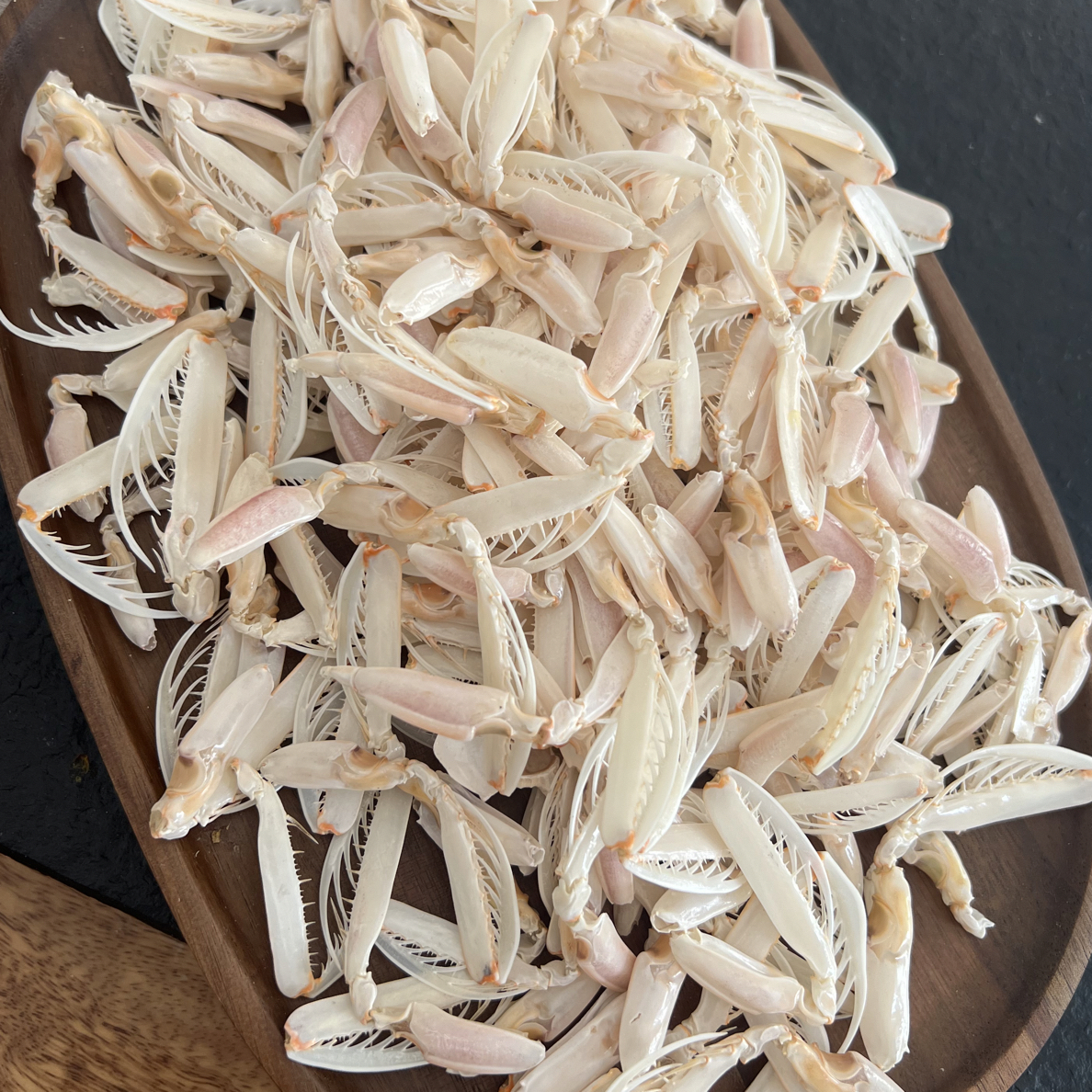 新品虾虎腿海瓜子带钳子肉大纯鲜甜低卡海边零食