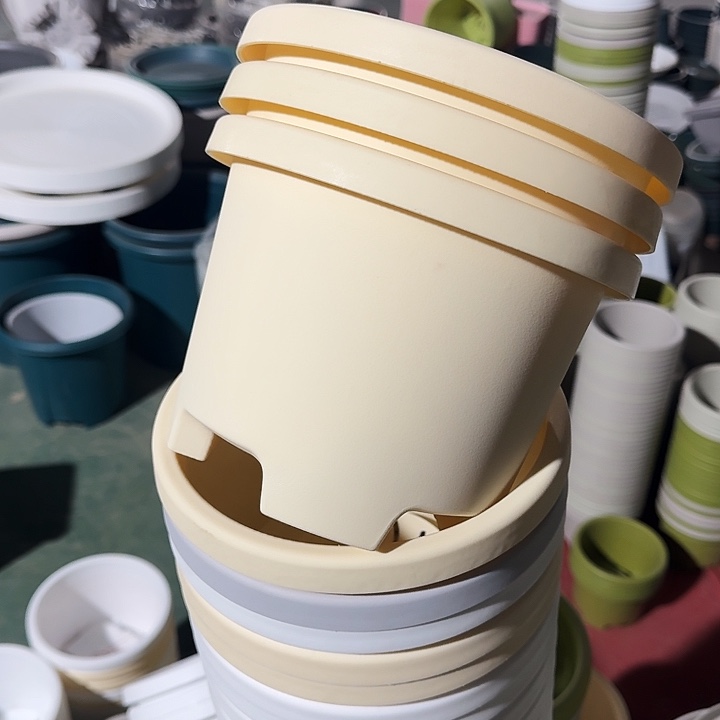 球根21口径6个带托米黄