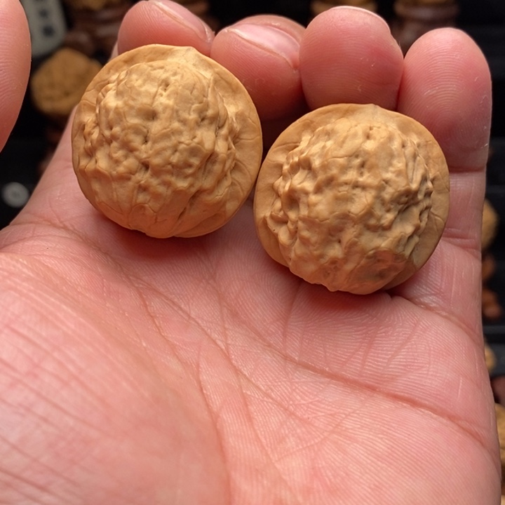 把件文玩核桃开播福利，小金公子帽