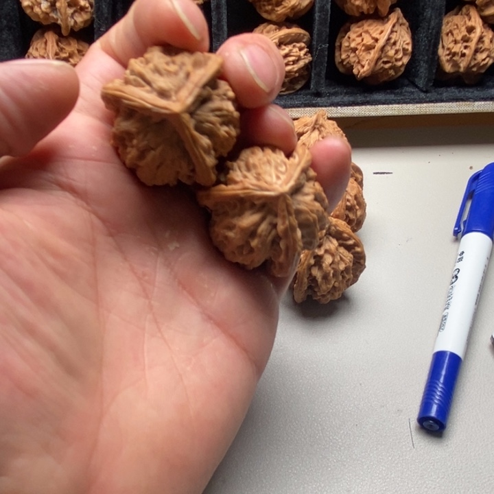 道***周手串/手链核桃核桃