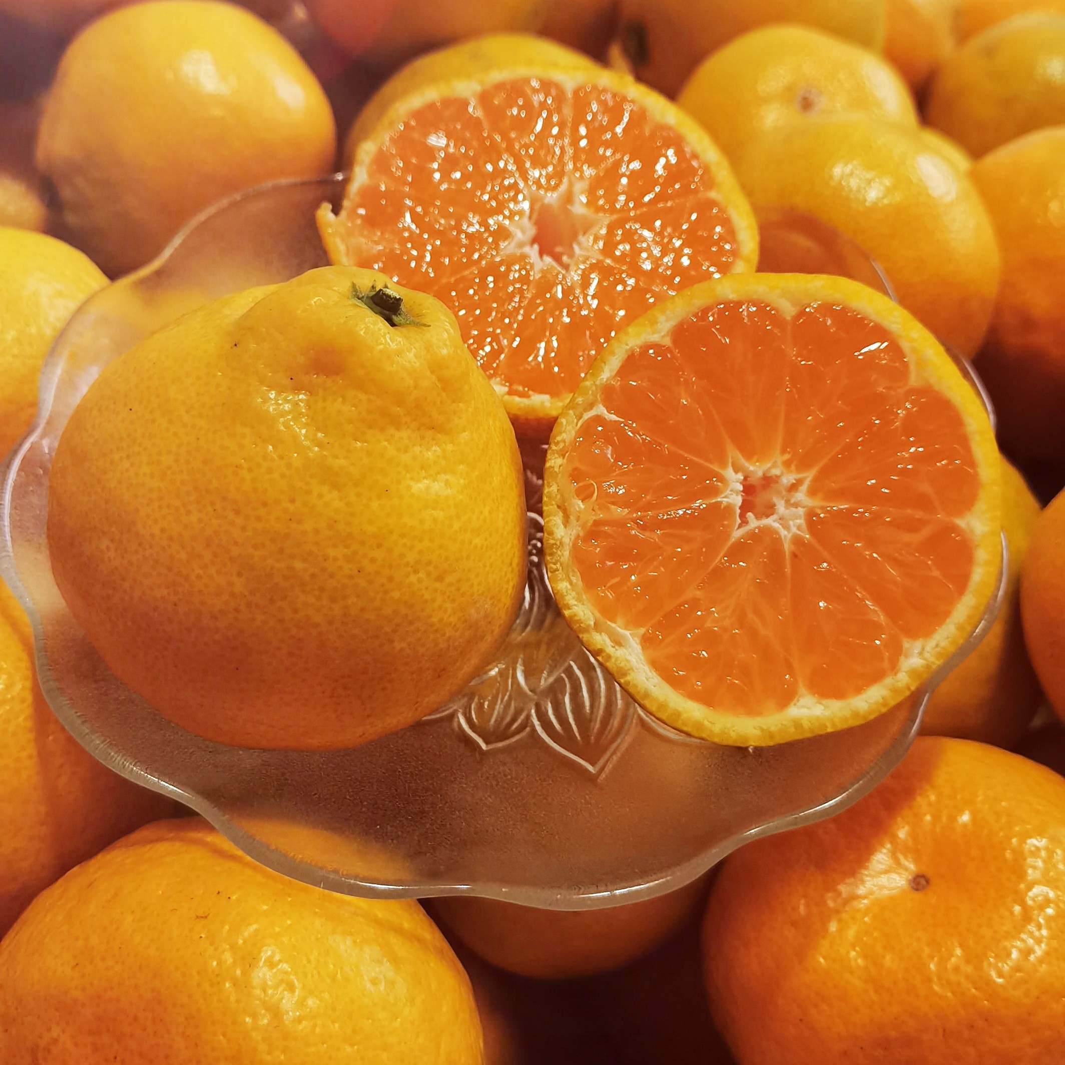 8斤大果（江浙沪次日达）浙江临海高山蜜橘当季新鲜水果现摘现发