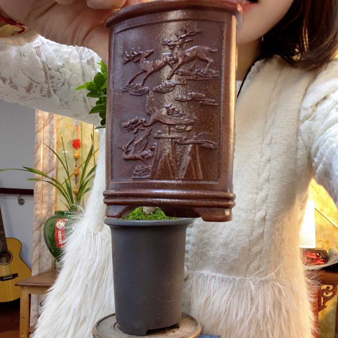 紫砂花盆紫砂花盆