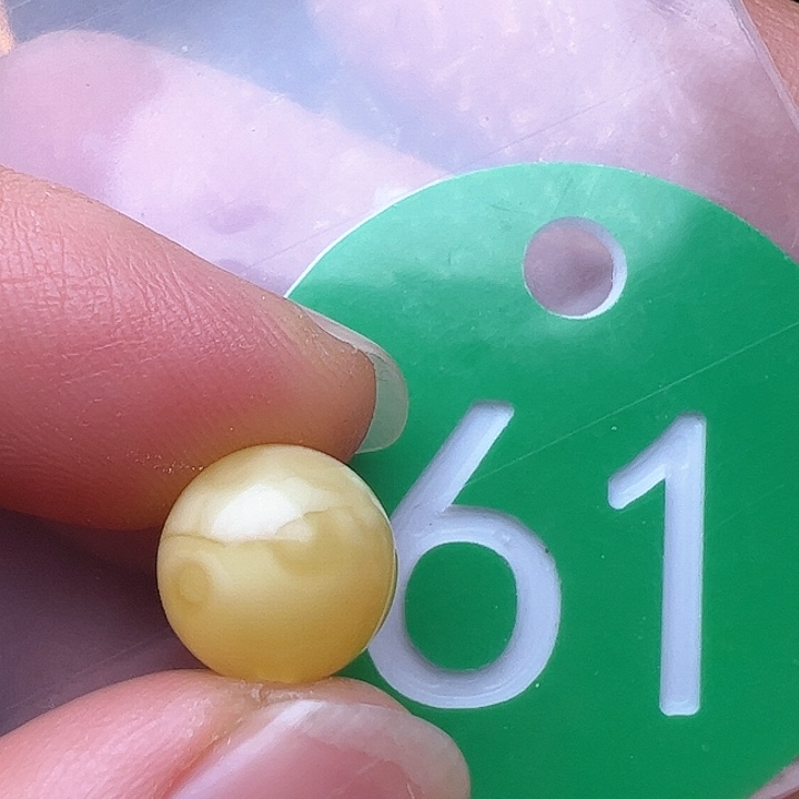 蜜蜡裸石未镶嵌微瑕10mm