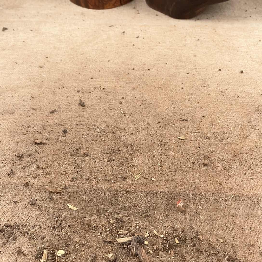 木桃*岛黄花梨随形料子