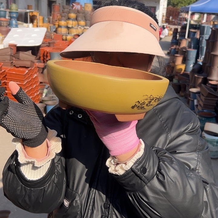 黄色江山如画小一个花盆花盆