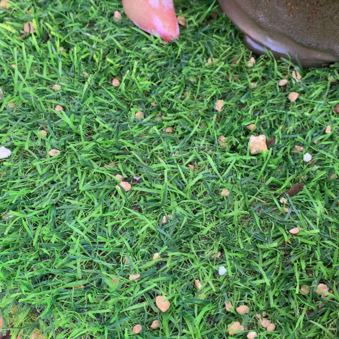 酒*吧酒酒吧专拍一物一拍