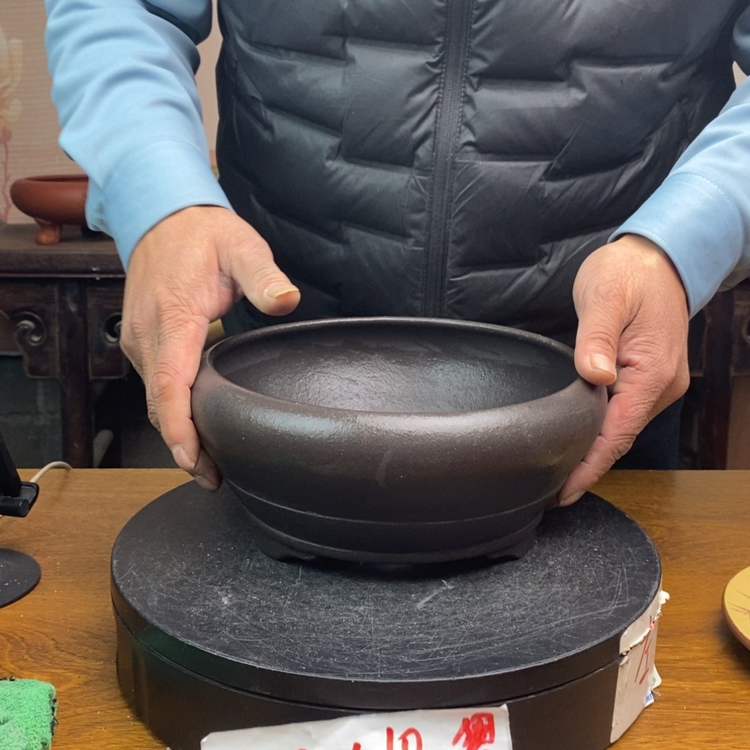 红陶货号一只WK53
