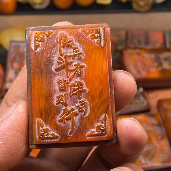 驼骨其他岫*人工养殖