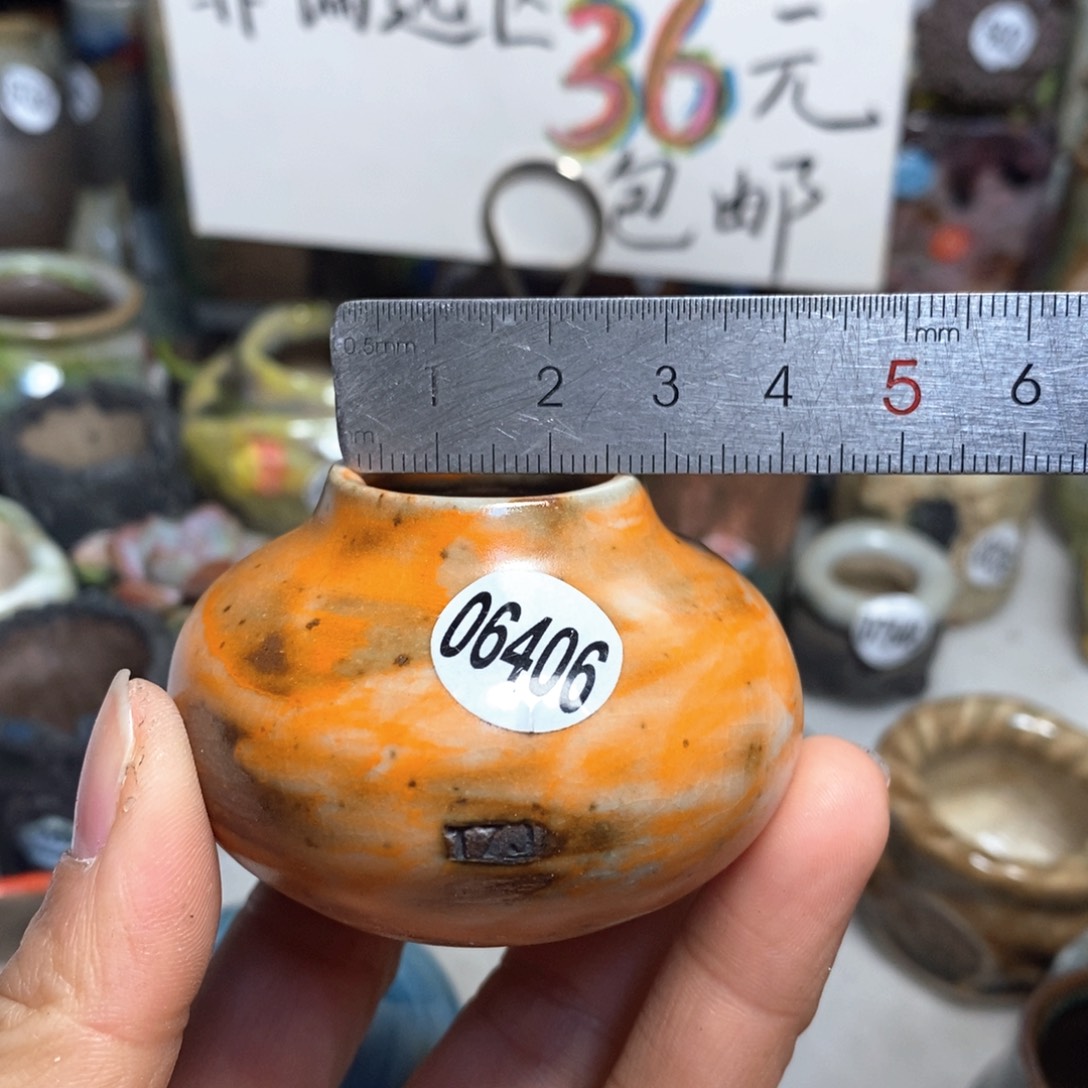 花盆拍5送一个小礼物