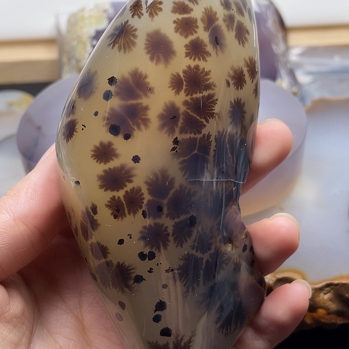 v***8玛瑙/玉髓未镶嵌颈饰