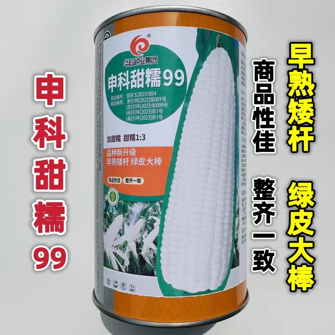 【超甜雪糯】申科甜糯99白甜糯玉米种子