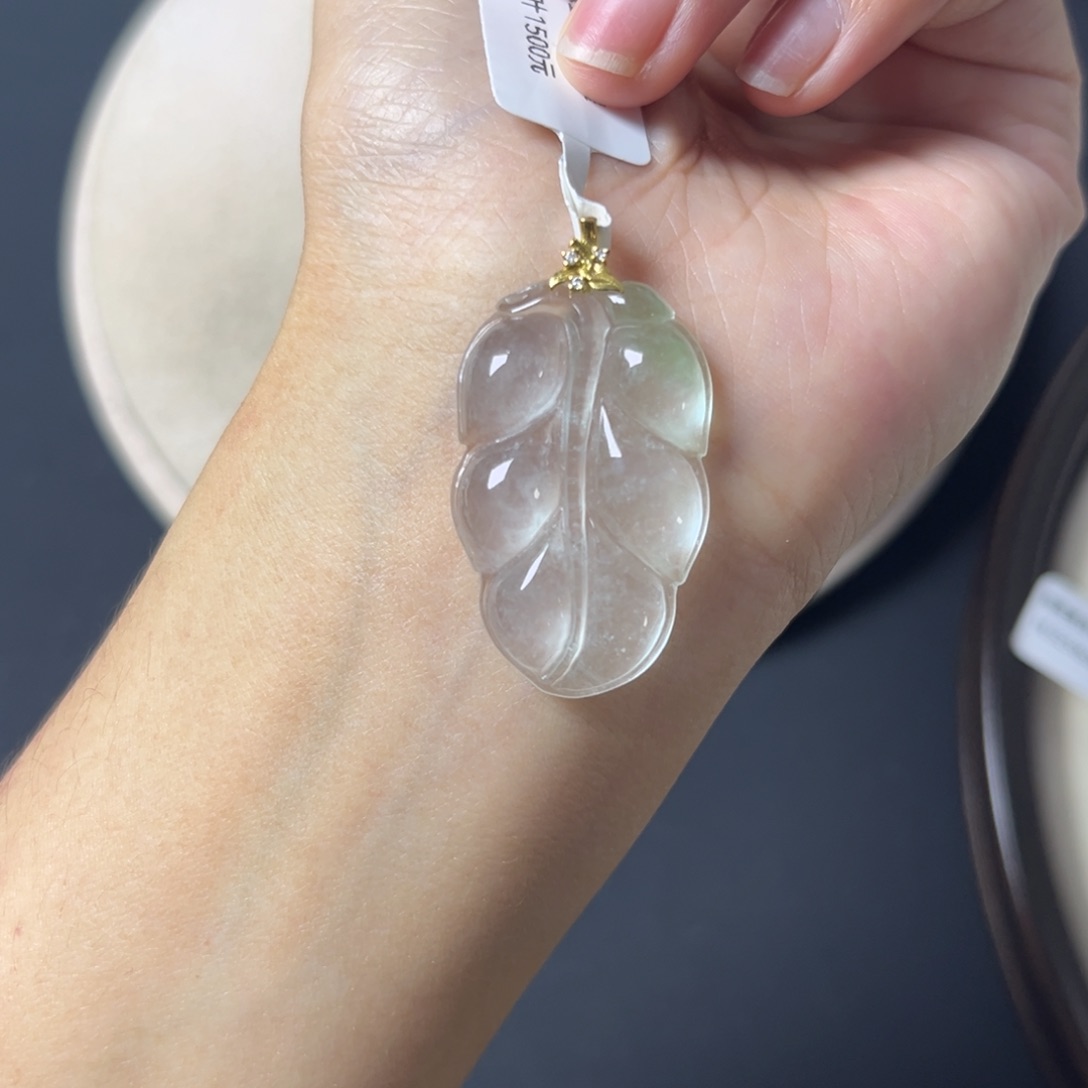 何****叶子直播编号Y1131