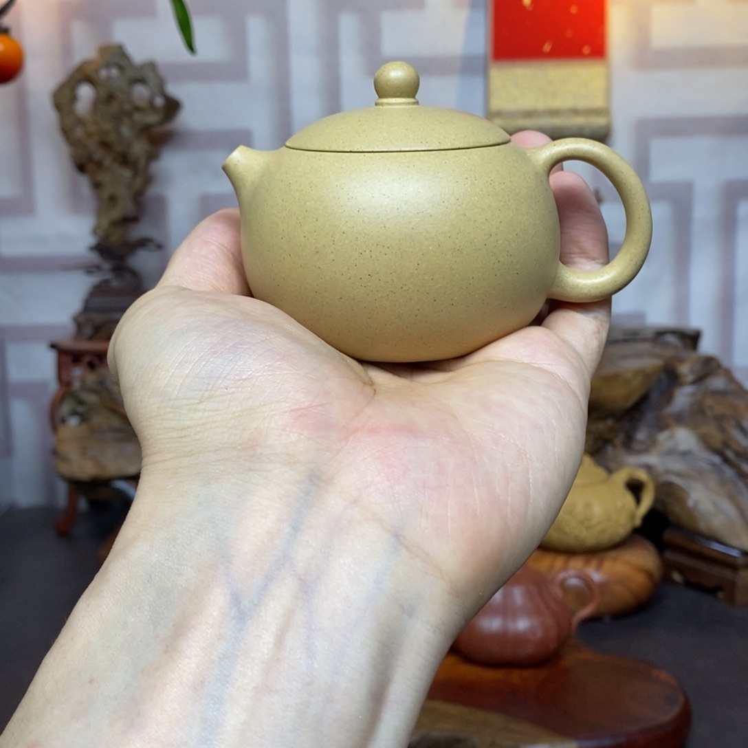 茶壶紫砂紫砂茶具本绿西施