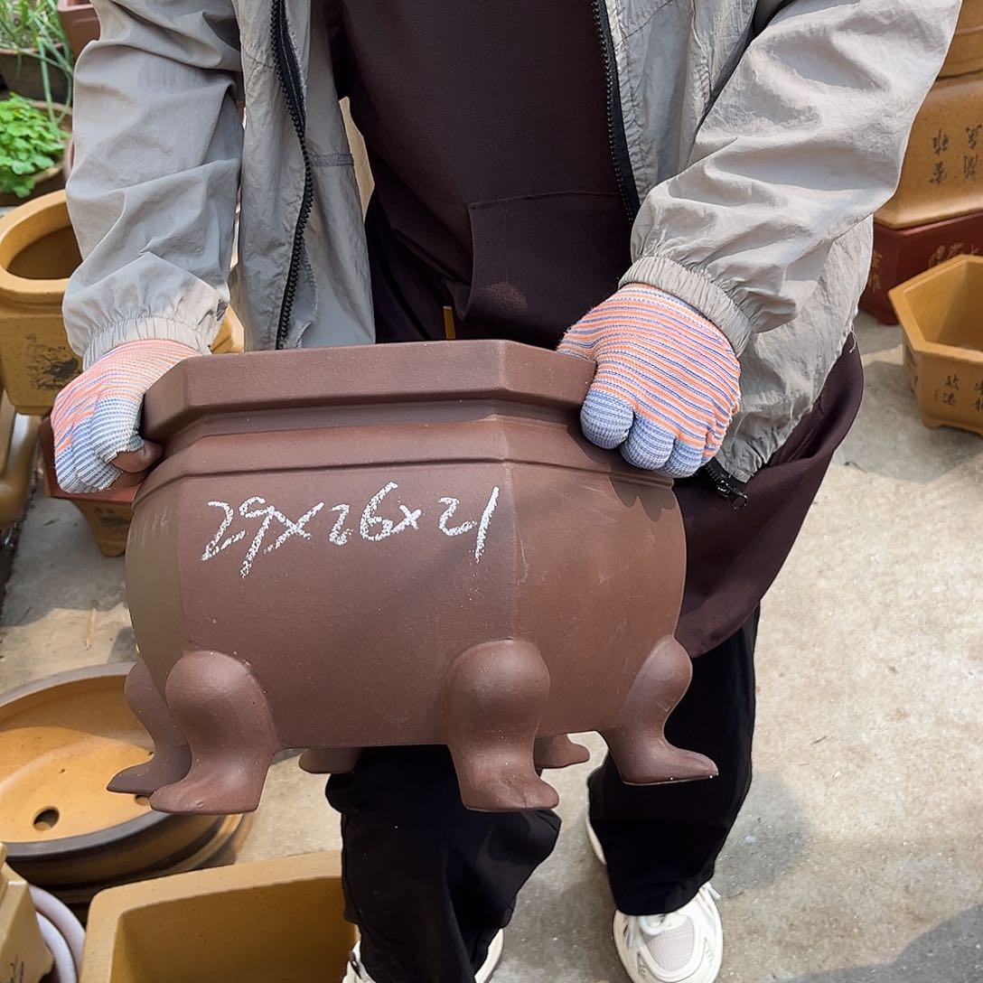 紫砂花盆盆景艺术