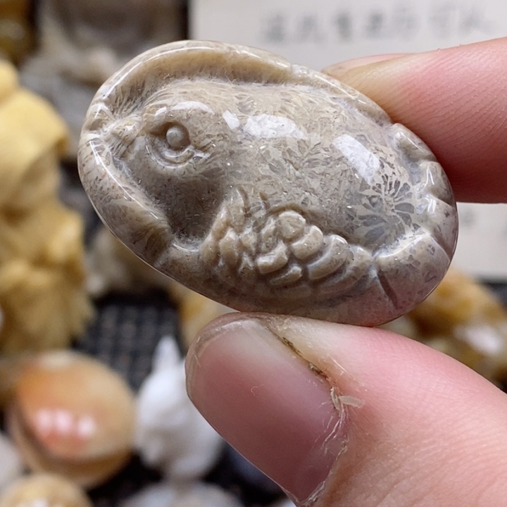 颈饰未镶嵌硅化珊瑚（珊瑚玉）有瑕 小