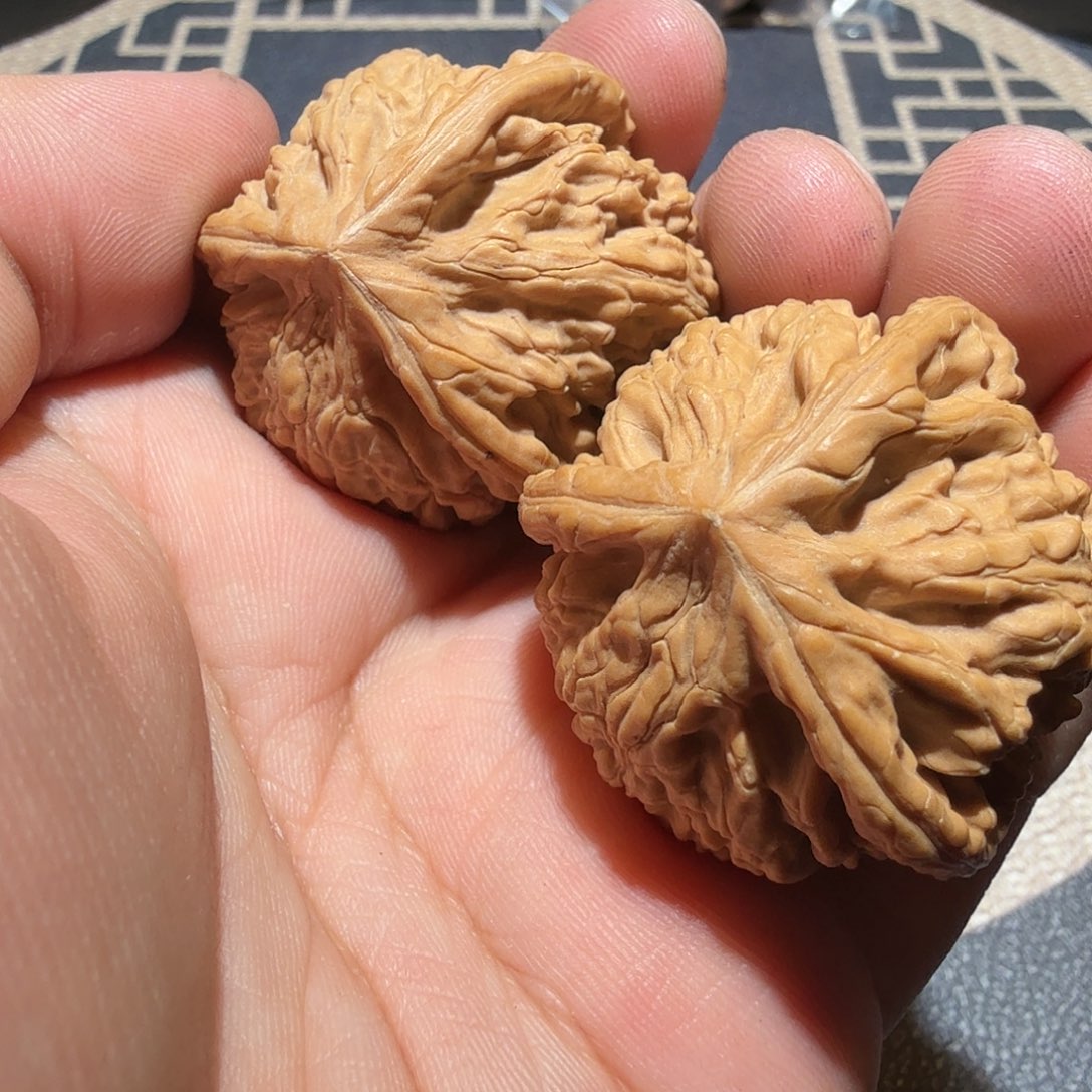 文玩核桃把件御龙正奔