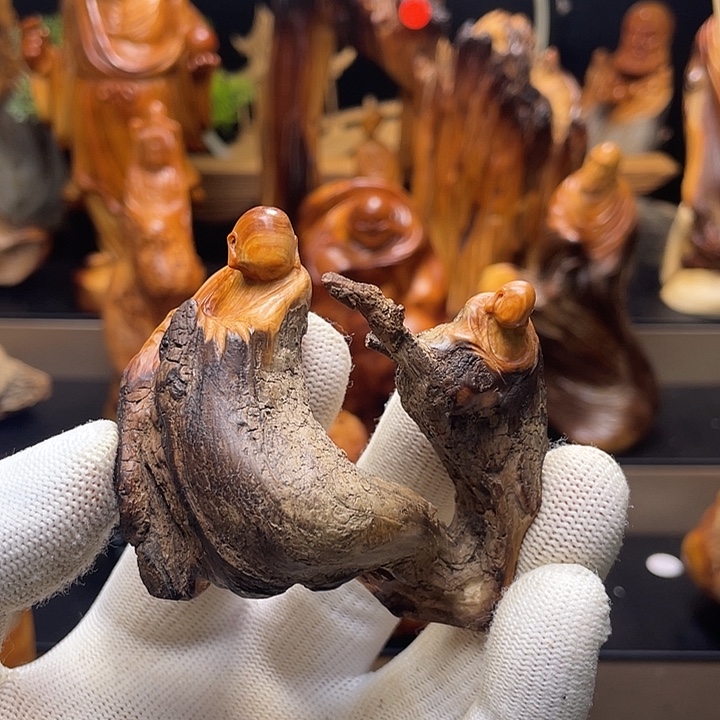 本***真柏木（崖柏）3333333333333333