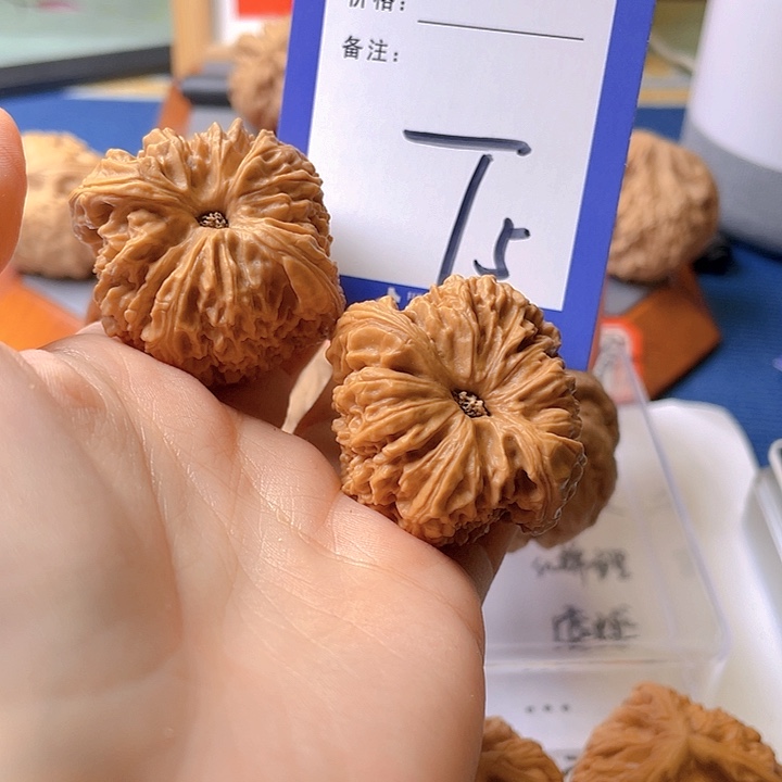 文玩核桃把件才*师文玩核桃5