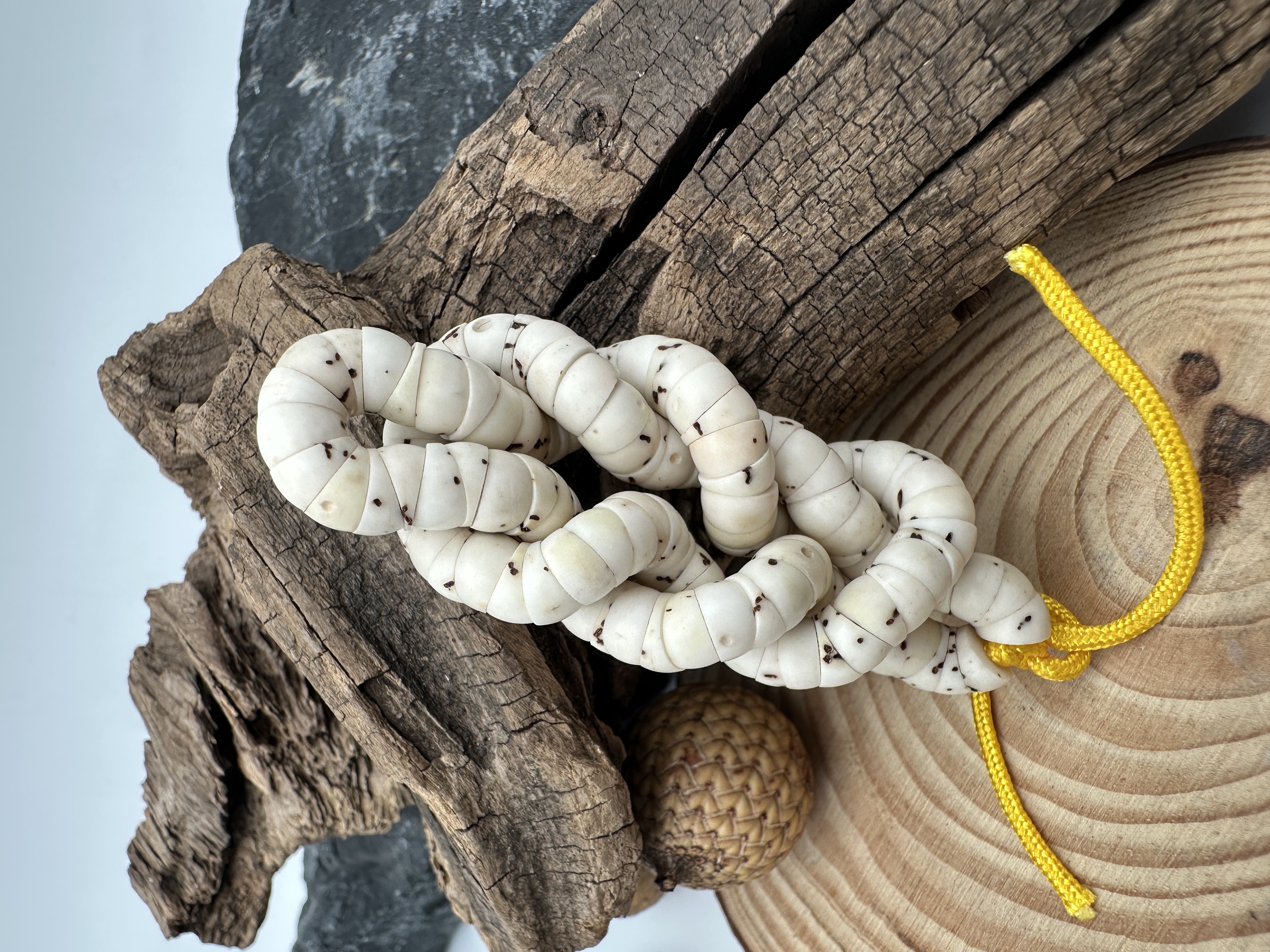 星月菩提骨瓷白卡6厚切大肠数星星品质