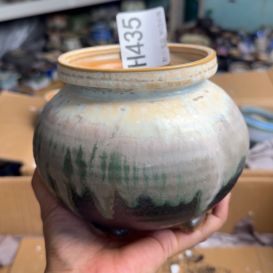 重庆小小燕子欢迎大家435