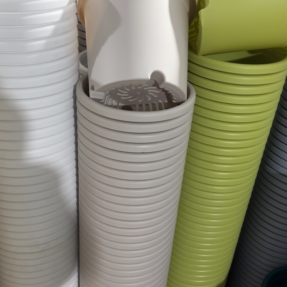 微瑕4号10个无托，灰白