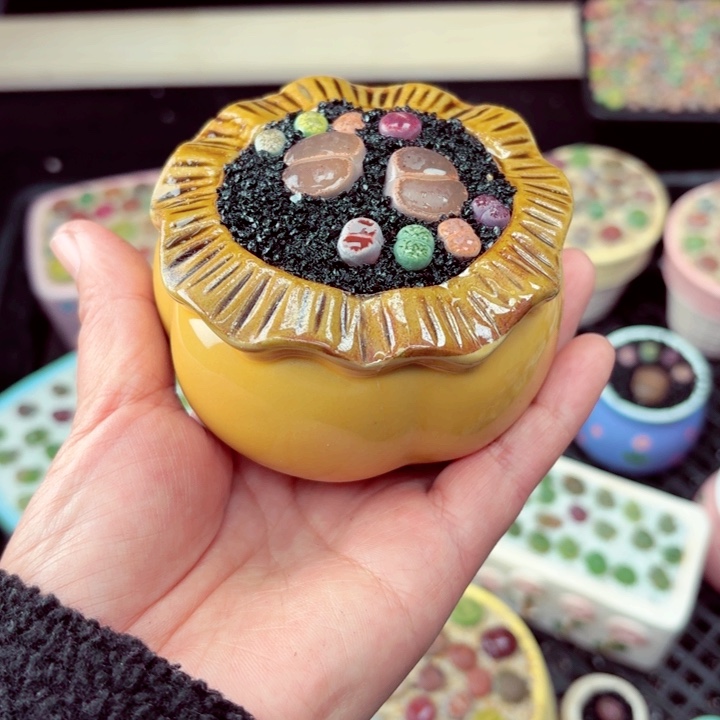 827零下地区记得拍保温箱满18包邮