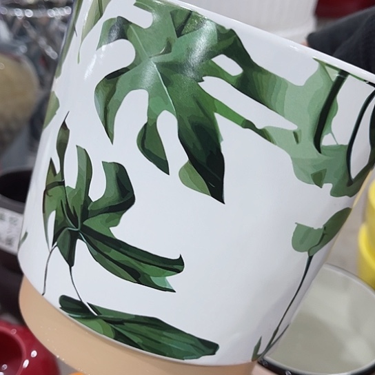 多肉绿植陶瓷花盆9.9包邮，有孔