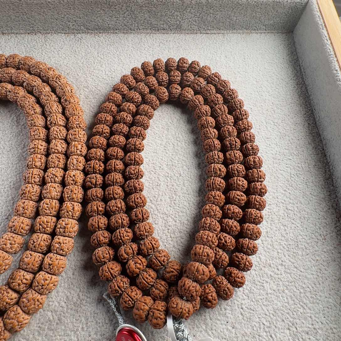 金刚菩提吊坠廊****园老树王毕业