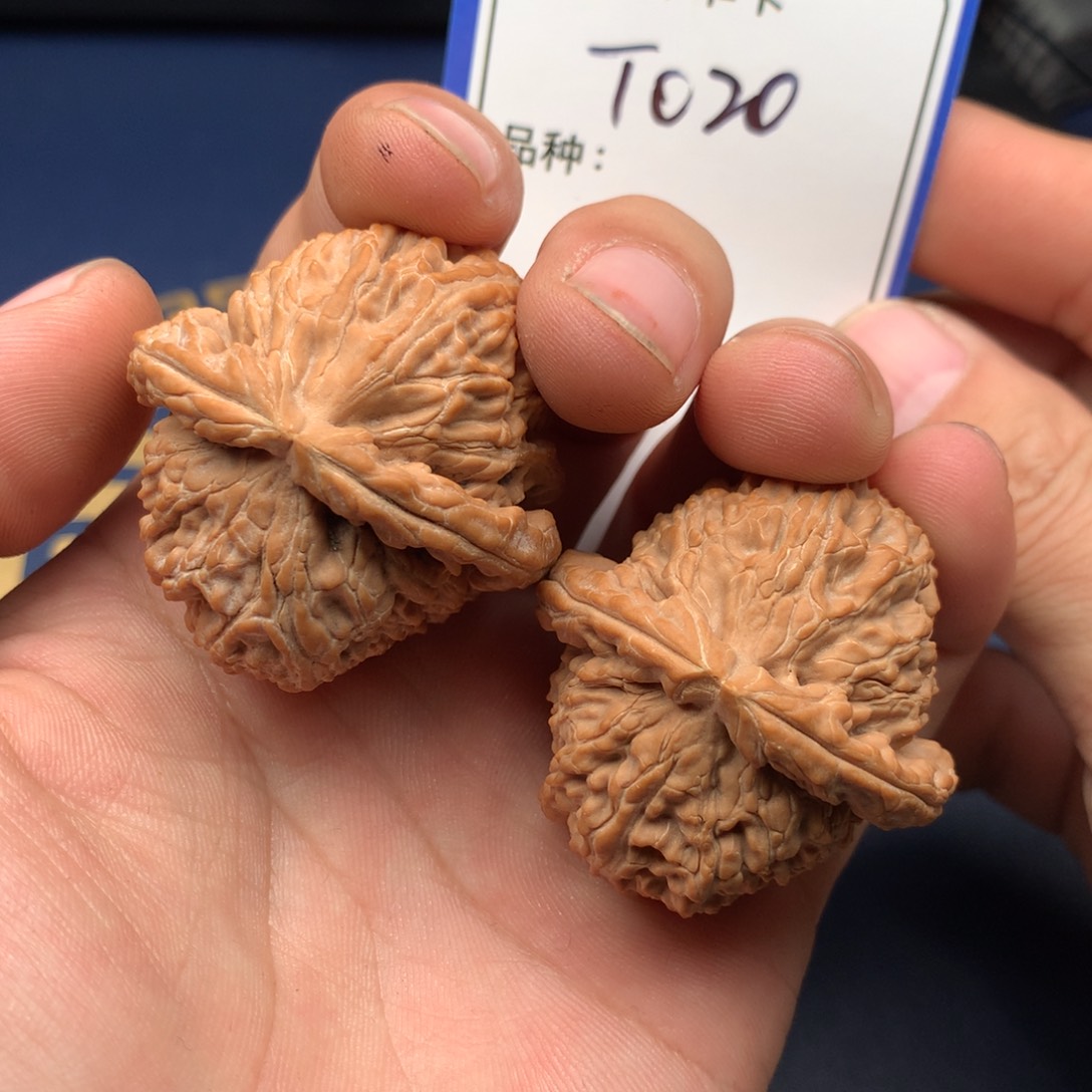 文玩核桃把件白狮子020