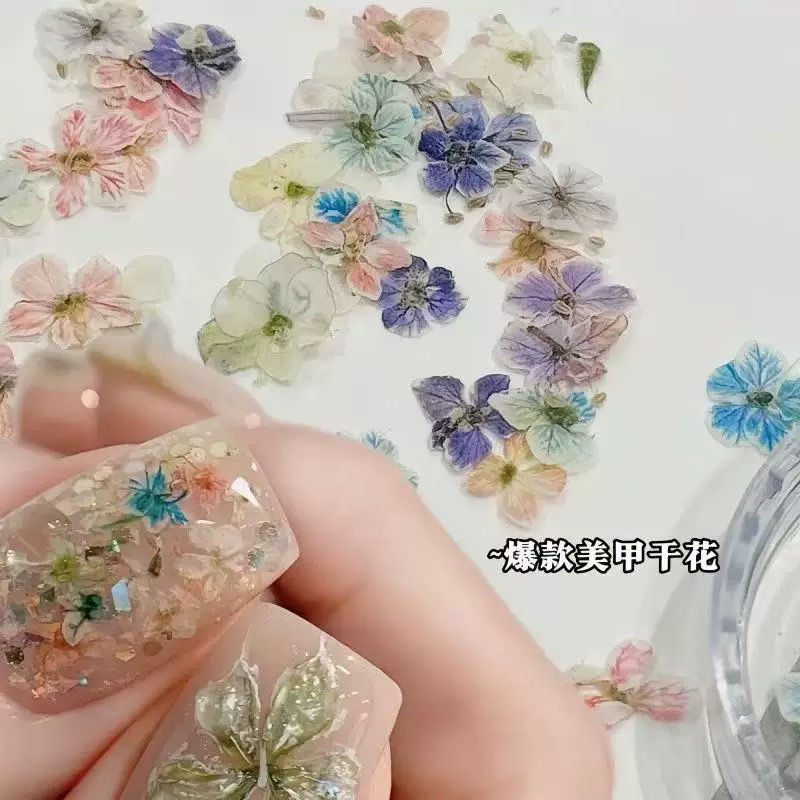 KSA美甲天然干花押花油画风混色指甲diy装饰品小花