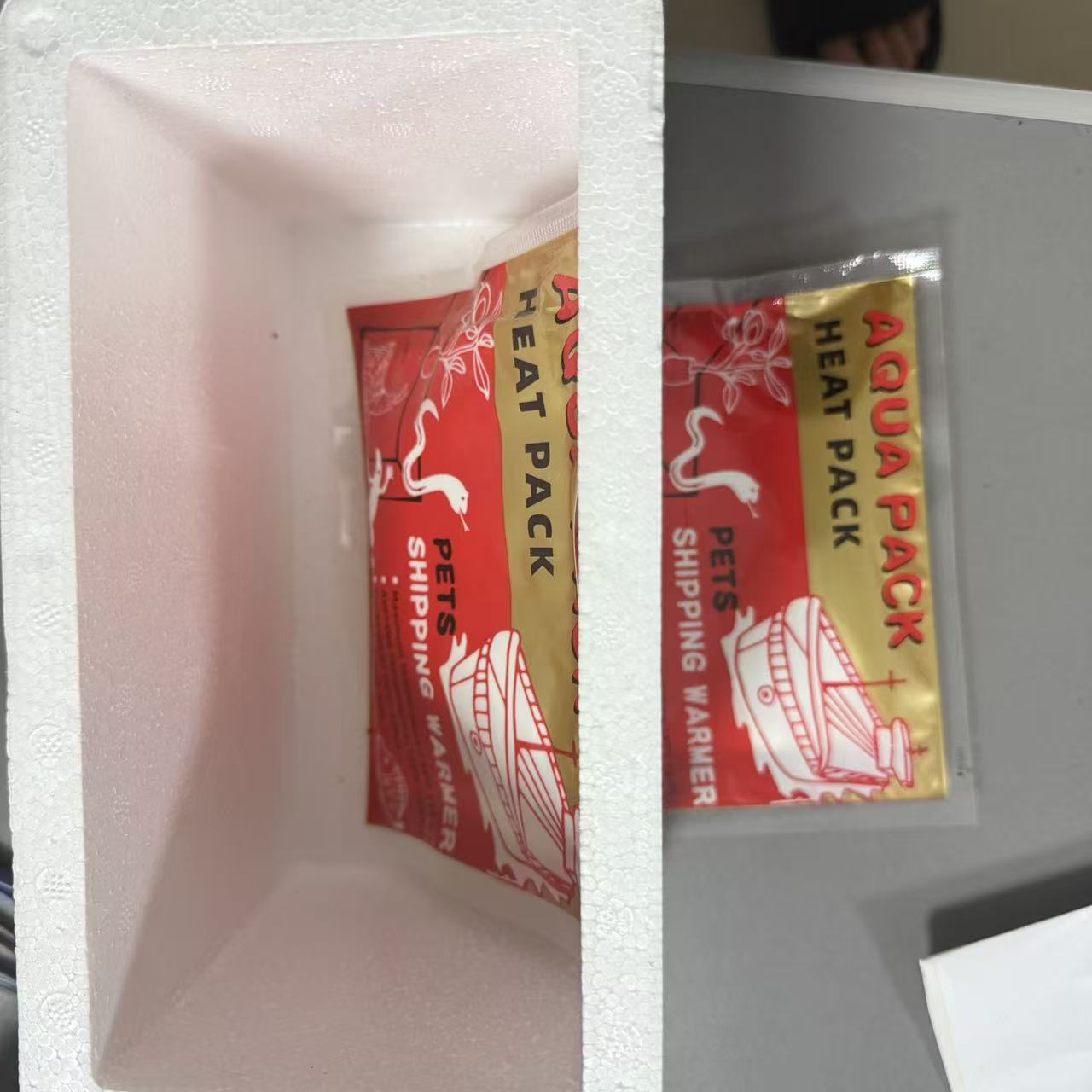 不要单拍必须跟蜘蛛一起下单冬季运输活体蜘蛛专用加热包泡沫箱 