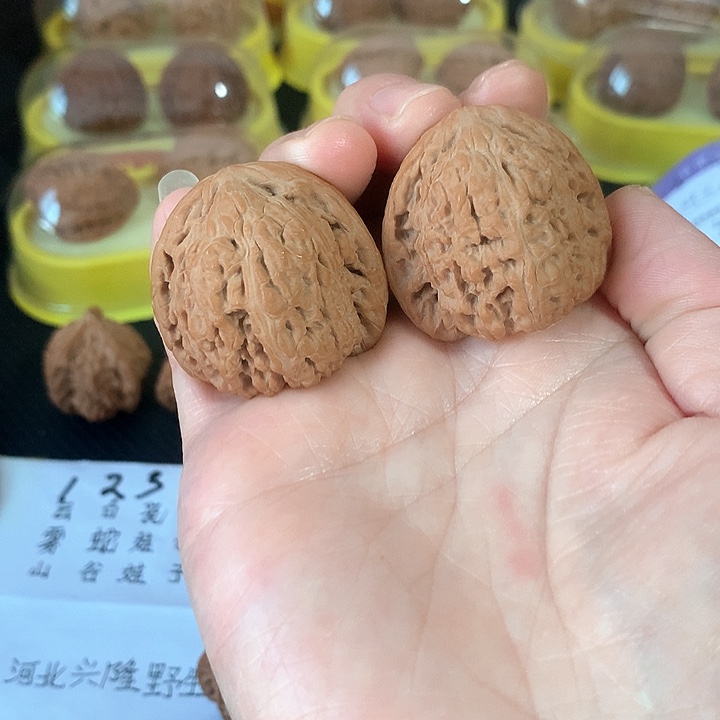 文玩核桃吊坠36尺尺红玛瑙