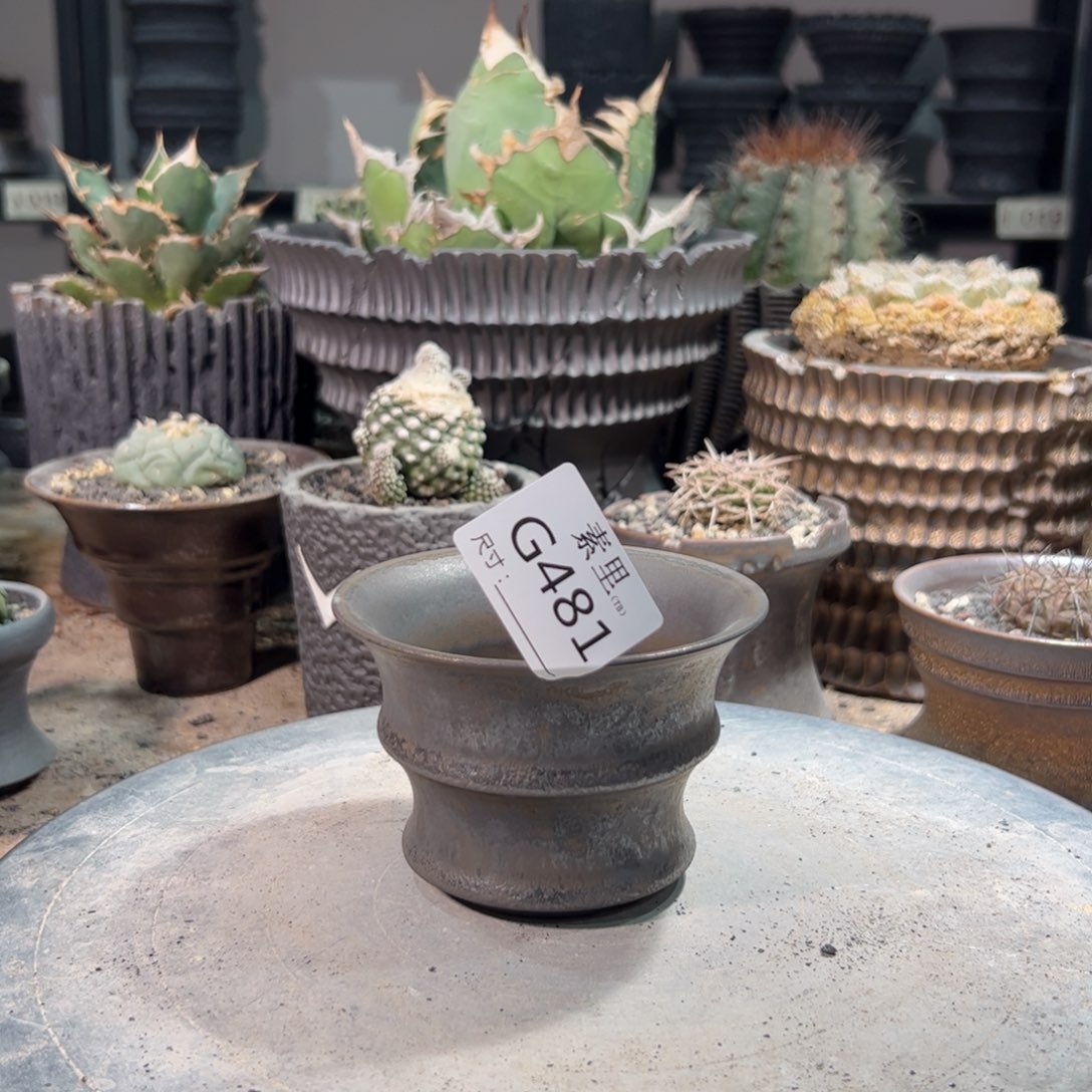 景德镇素里手工内口10高7