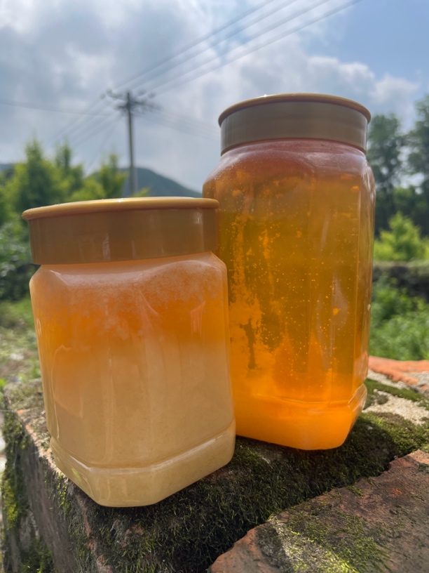 【自养土蜂蜜】中蜂酿制百花蜜口味纯正一年只割一次蜜